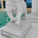 吉安 白麻花岗岩动物异形石雕-大象