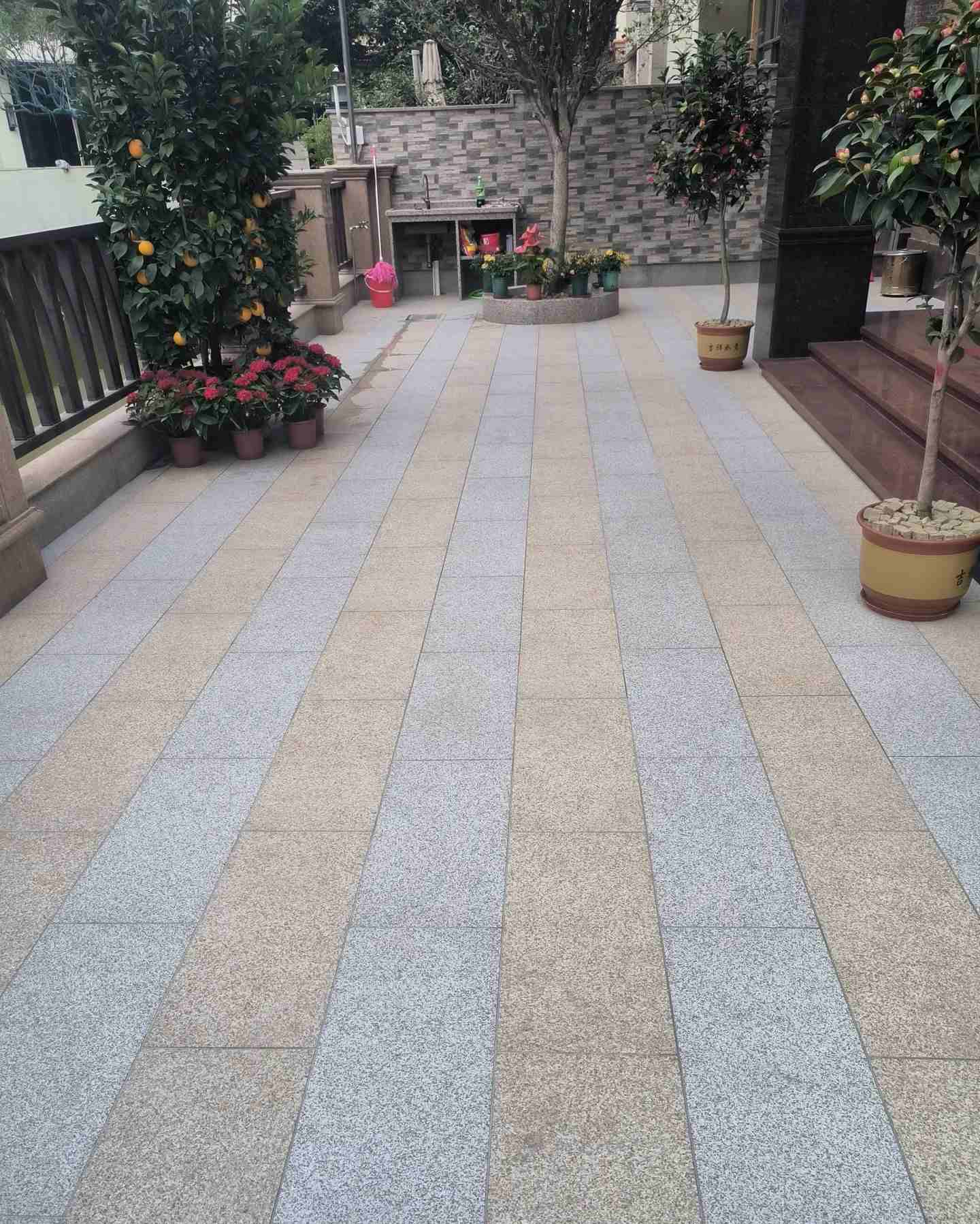 吉安 黄金麻白麻荔枝面庭院铺装展示